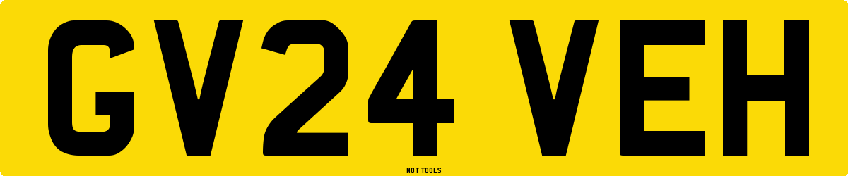 GV24VEH MOT Check