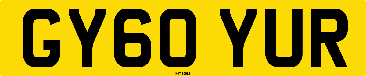 GY60YUR MOT Check