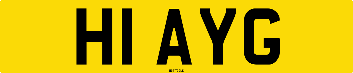 H1AYG MOT Check