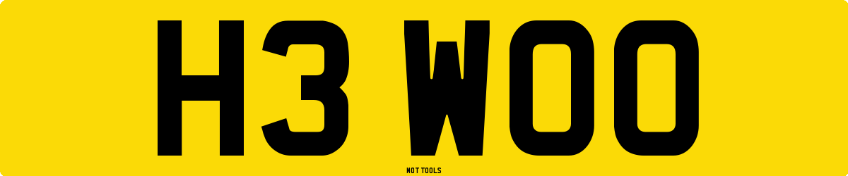 H3WOO MOT Check