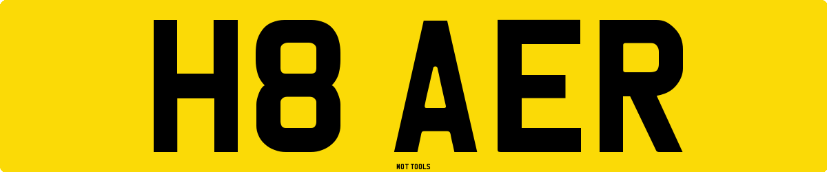 H8AER MOT Check