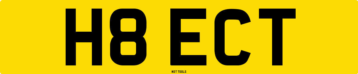 H8ECT MOT Check