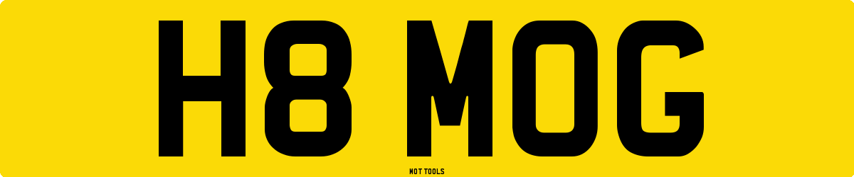 H8MOG MOT Check