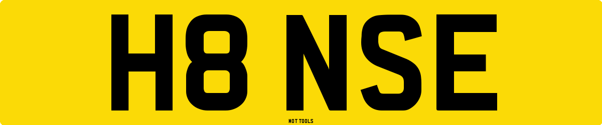 H8NSE MOT Check