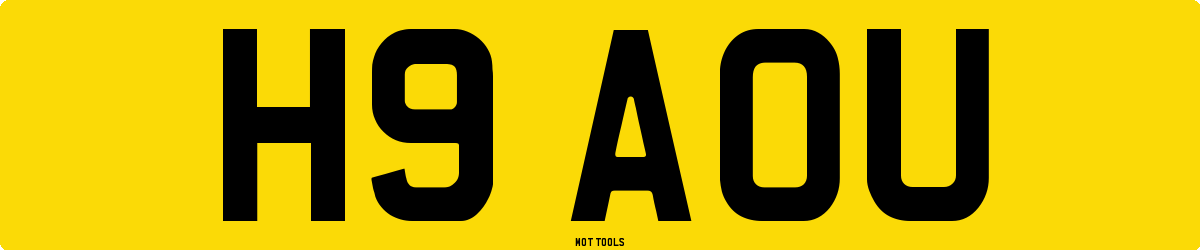 H9AOU MOT Check