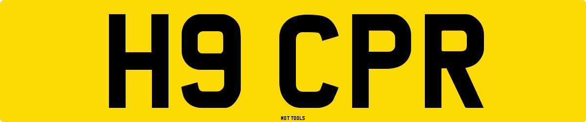 H9CPR MOT Check