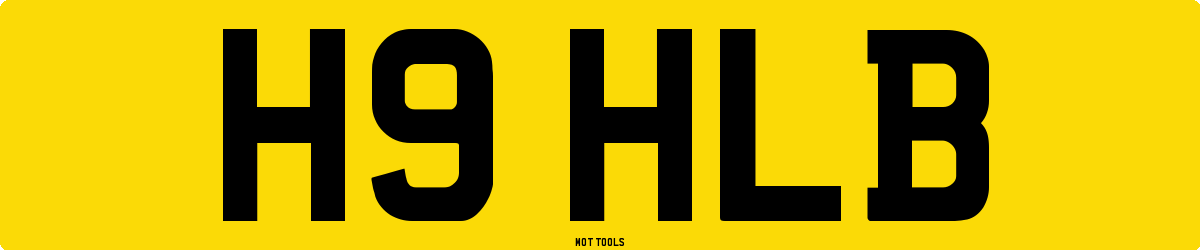 H9HLB MOT Check
