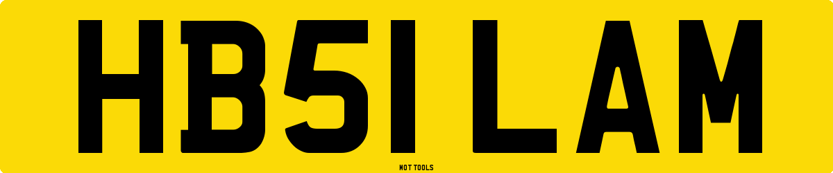 HB51LAM MOT Check