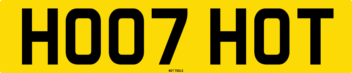 HO07HOT MOT Check