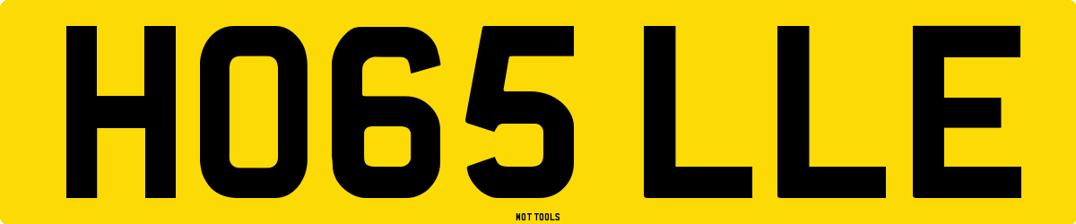 HO65LLE MOT Check