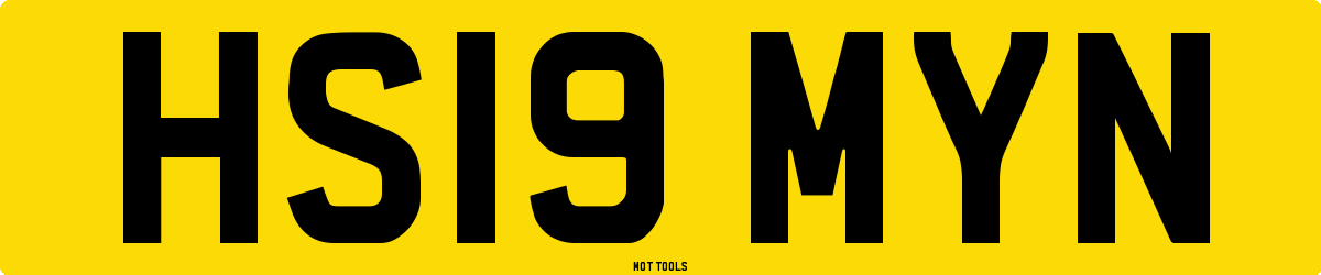 HS19MYN MOT Check
