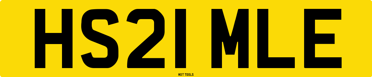 HS21MLE MOT Check