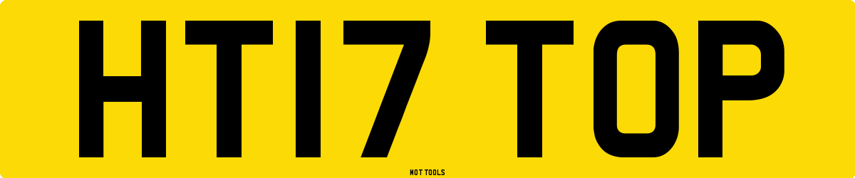 HT17TOP MOT Check