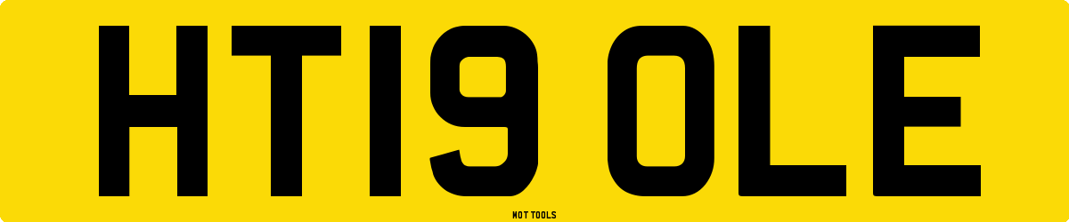 HT19OLE MOT Check