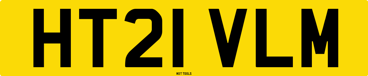 HT21VLM MOT Check