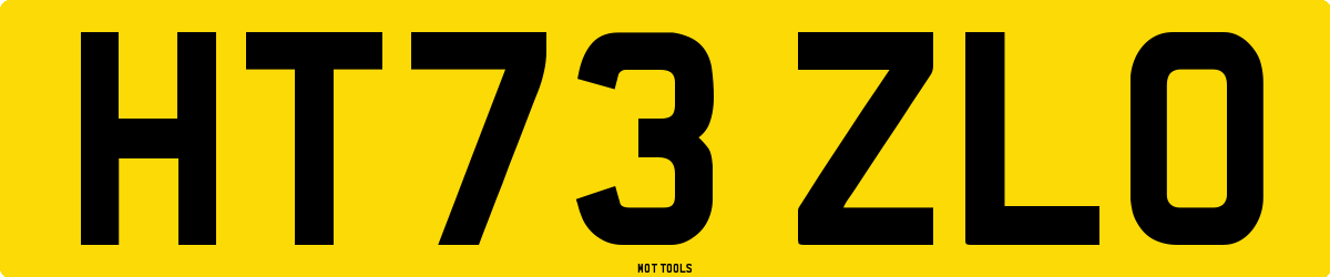 HT73ZLO MOT Check