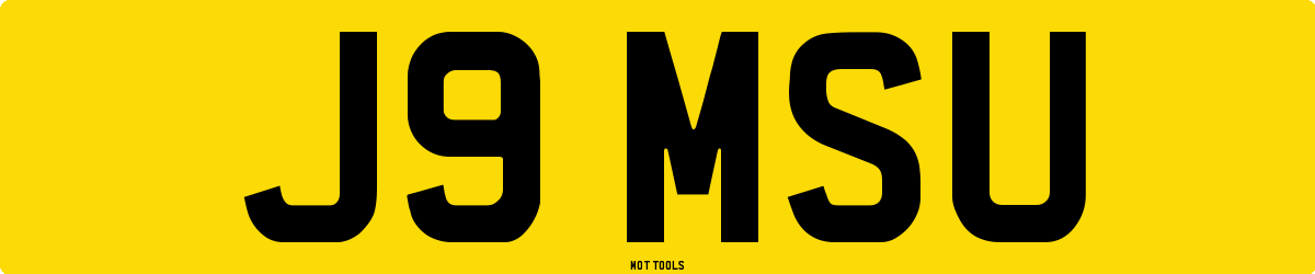 J9MSU MOT Check