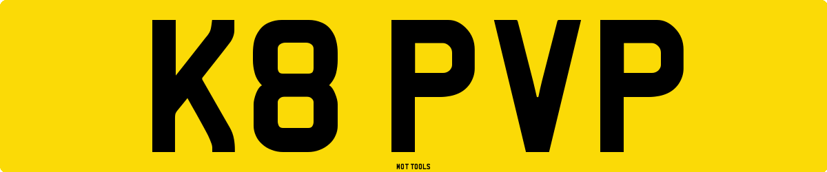 K8PVP MOT Check