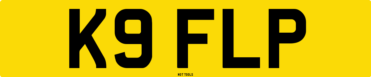 K9FLP MOT Check