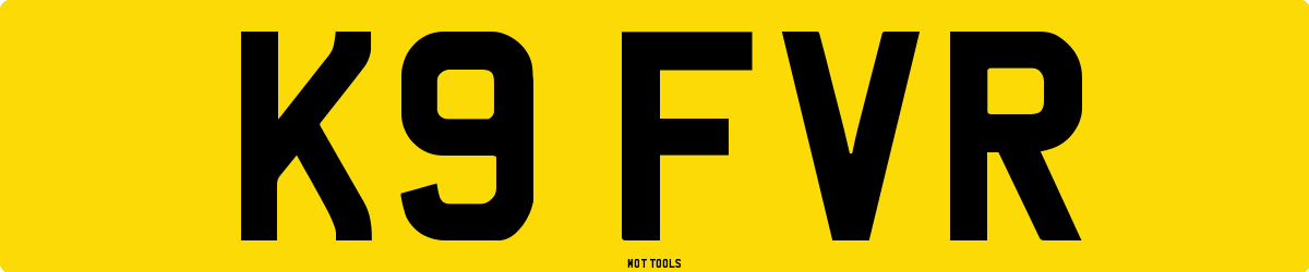 K9FVR MOT Check