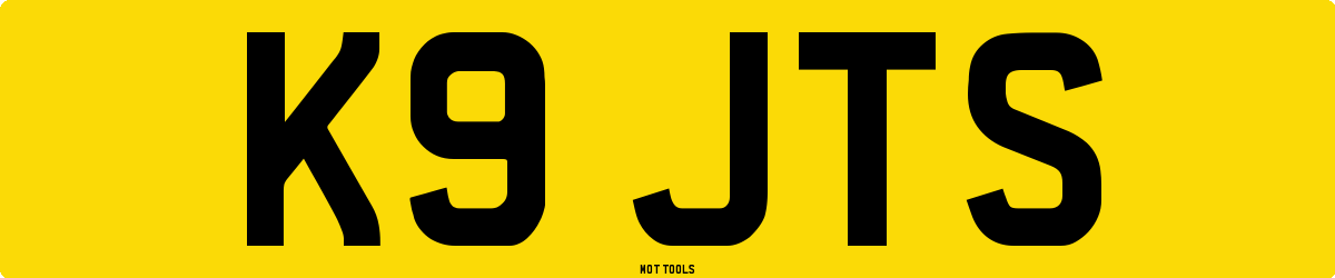 K9JTS MOT Check