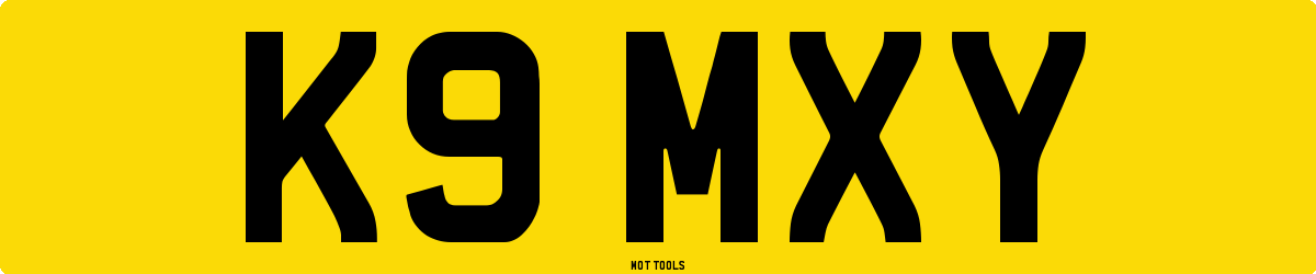 K9MXY MOT Check