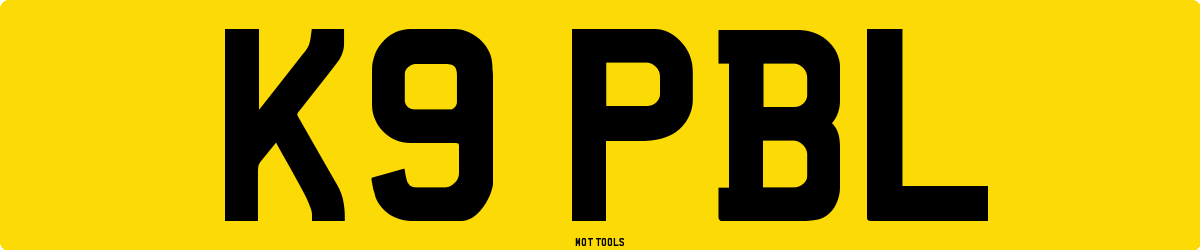 K9PBL MOT Check