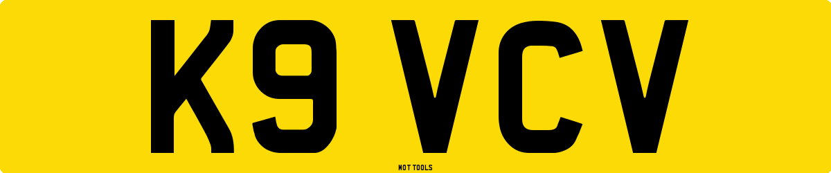 K9VCV MOT Check