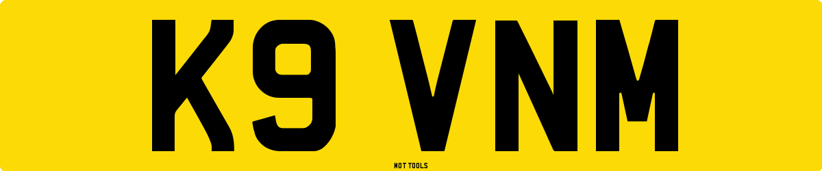 K9VNM MOT Check