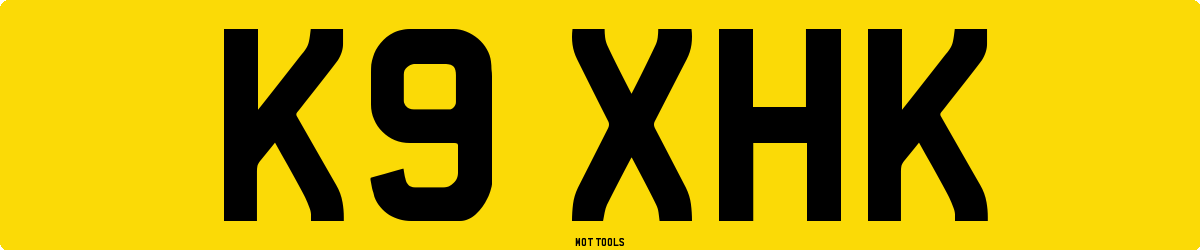 K9XHK MOT Check