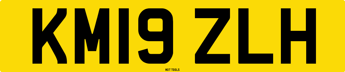 KM19ZLH MOT Check