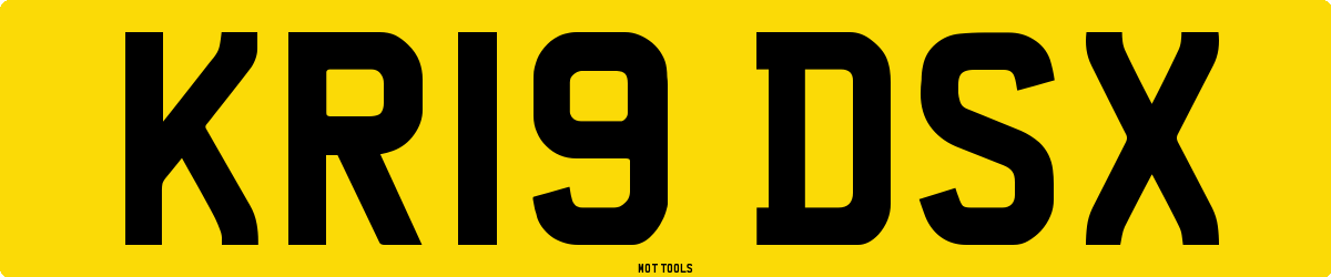 KR19DSX MOT Check