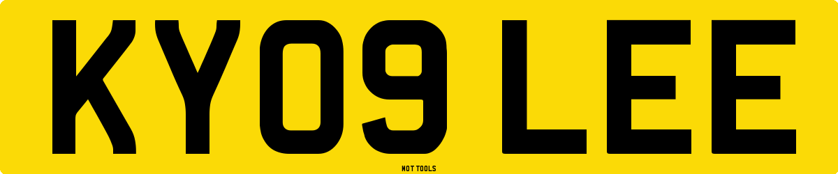 KY09LEE MOT Check