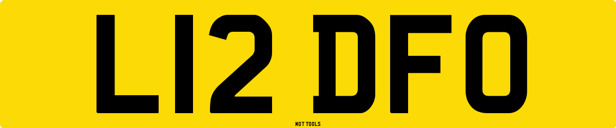 L12DFO MOT Check