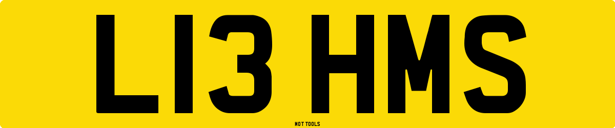 L13HMS MOT Check