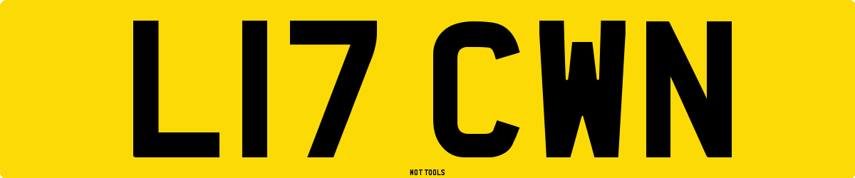 L17CWN MOT Check