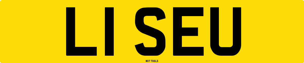 L1SEU MOT Check