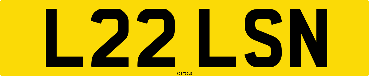 L22LSN MOT Check