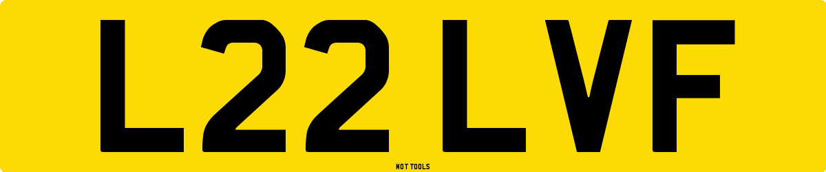 L22LVF MOT Check
