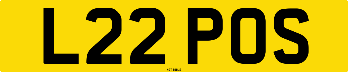 L22POS MOT Check