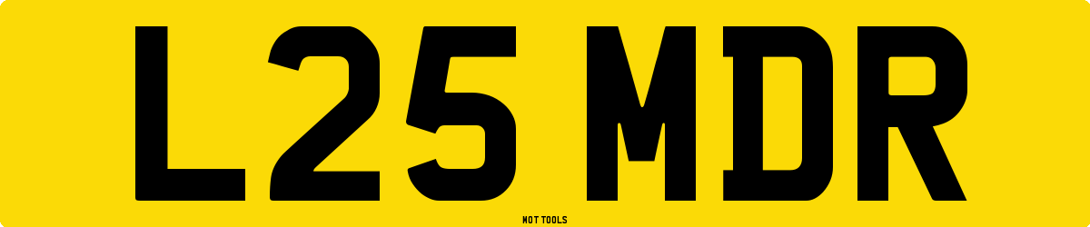 L25MDR MOT Check