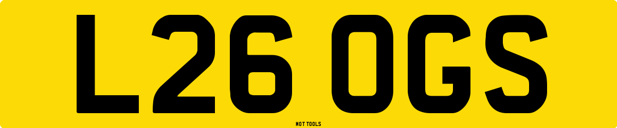L26OGS MOT Check