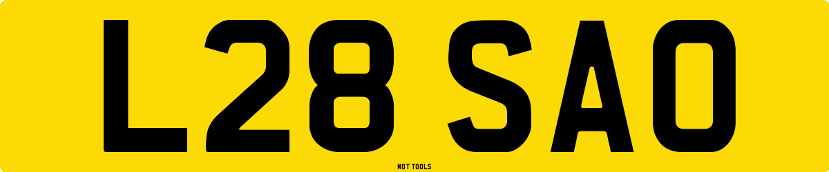 L28SAO MOT Check