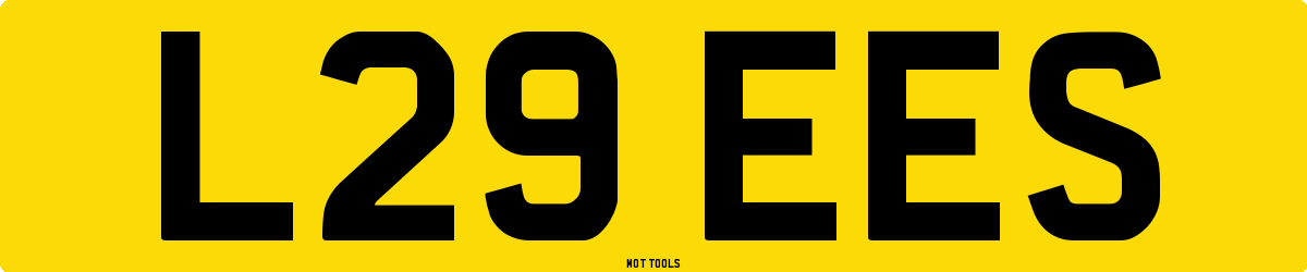 L29EES MOT Check