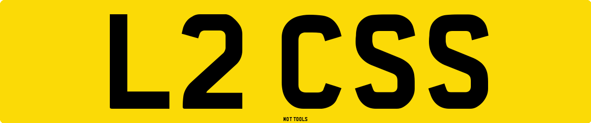 L2CSS MOT Check
