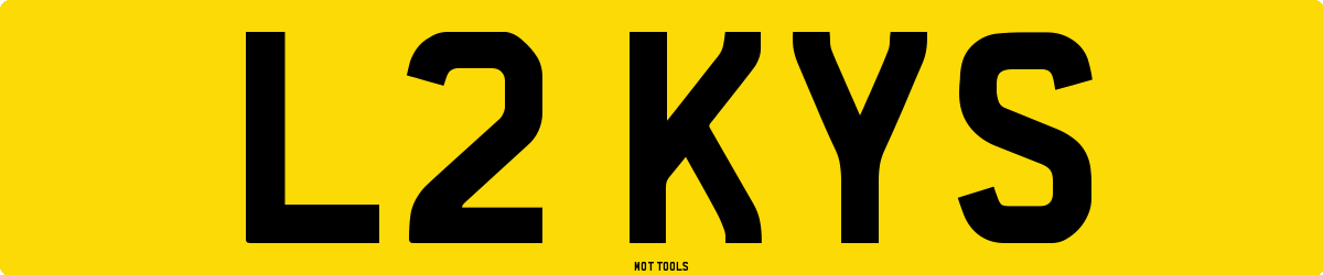 L2KYS MOT Check