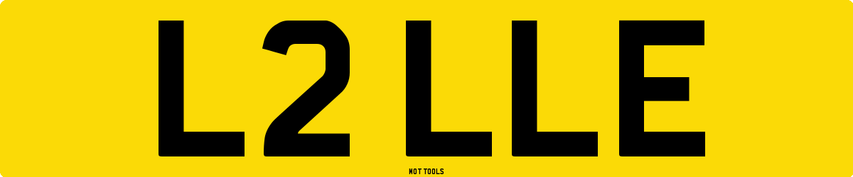 L2LLE MOT Check