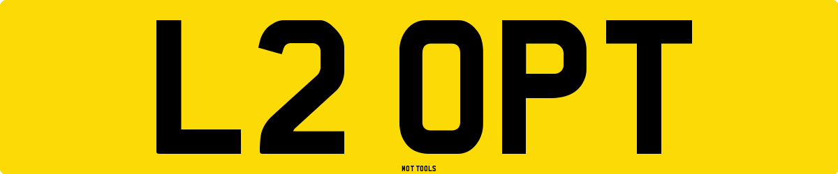 L2OPT MOT Check