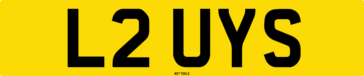 L2UYS MOT Check