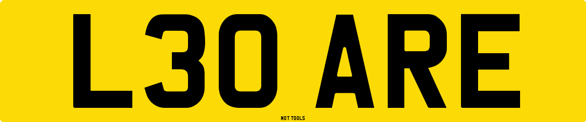 L30ARE MOT Check